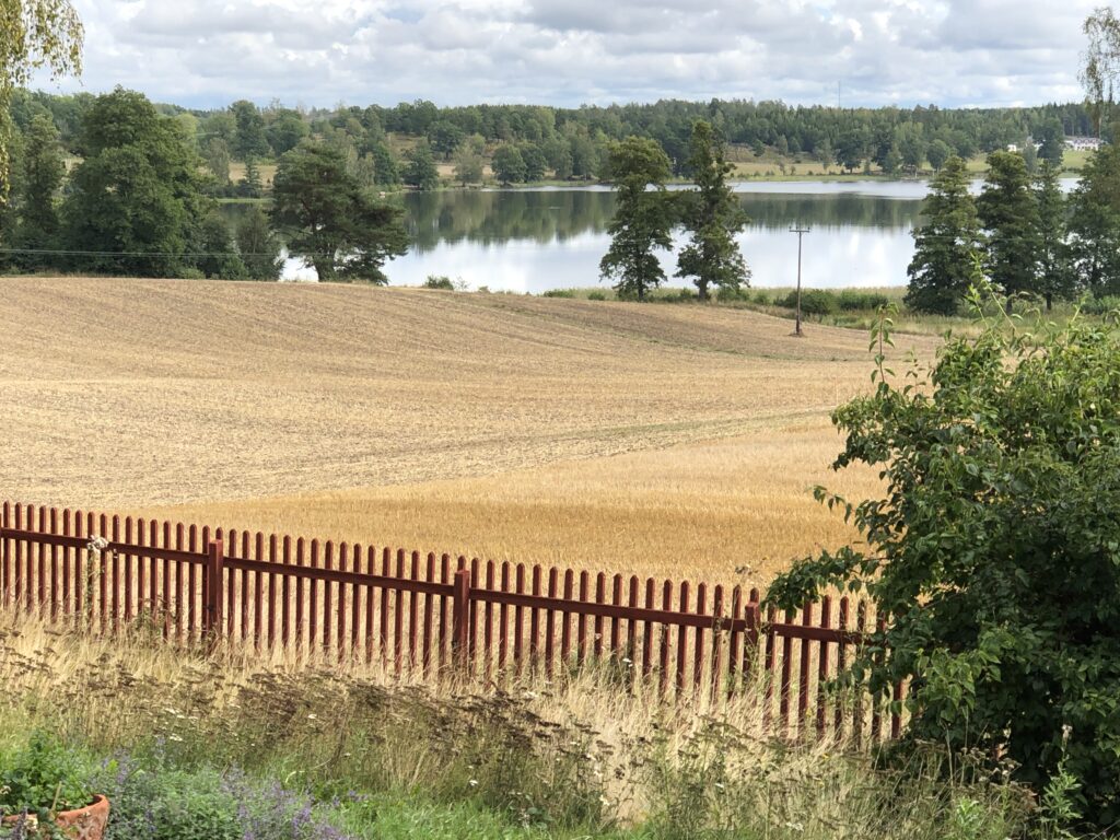 Breathwork retreat Sörmland
